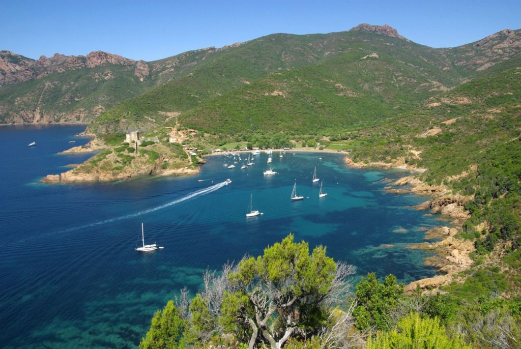 catamaran calvi scandola