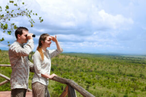 safari au Botswana : un excellent choix
