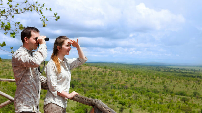 safari au Botswana : un excellent choix 